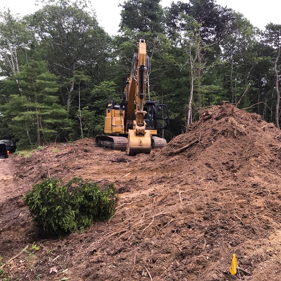 Stump removal barnstable ma